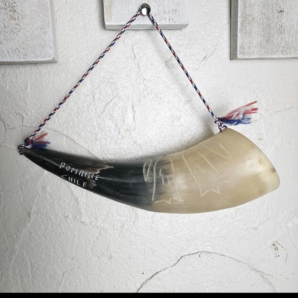 Carved Norse Nordic Forklore Viking Horn Pomaire Chile Souvenir 9” Long